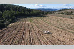 Vente terrain agricole Tautavel  