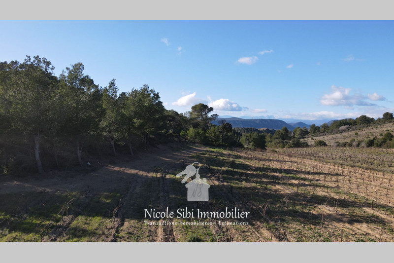 Vente terrain agricole Tautavel  