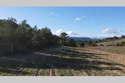 Vente terrain agricole Tautavel  