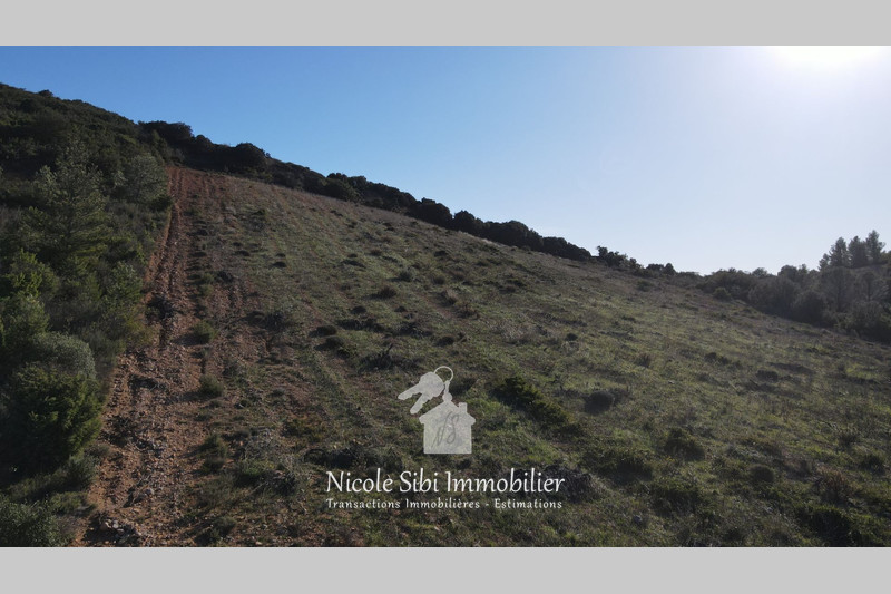 Vente terrain agricole Tautavel  