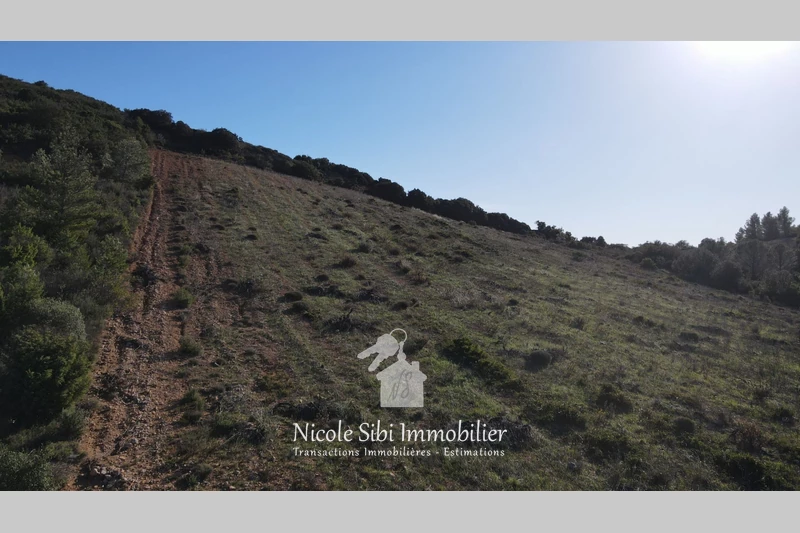 Vente terrain agricole Tautavel  