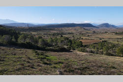 Vente terrain agricole Tautavel  