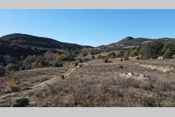 Vente terrain agricole Rasiguères  