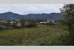 Vente terrain constructible Rodès  
