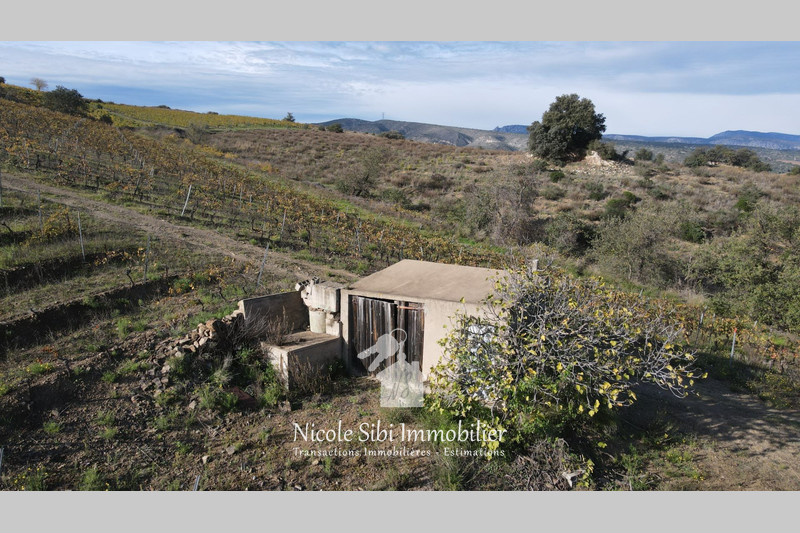 Vente terrain agricole Montner  