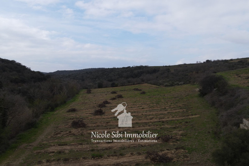 Vente terrain agricole Montner  