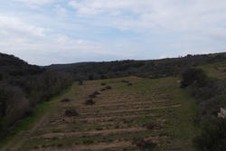 Vente terrain agricole Montner  