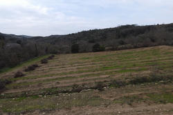 Vente terrain agricole Montner  