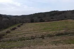 Vente terrain agricole Montner  