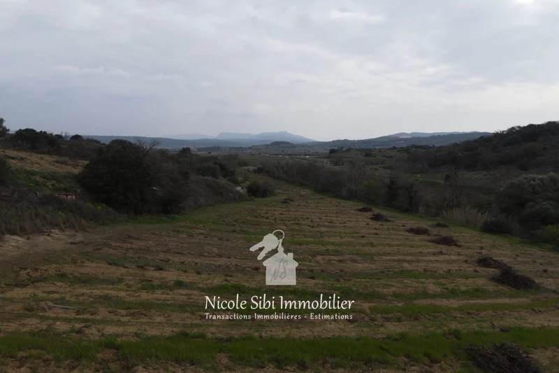 Vente terrain agricole Montner  
