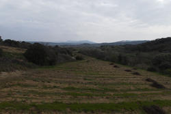 Vente terrain agricole Montner  