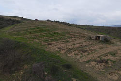 Vente terrain agricole Montner  