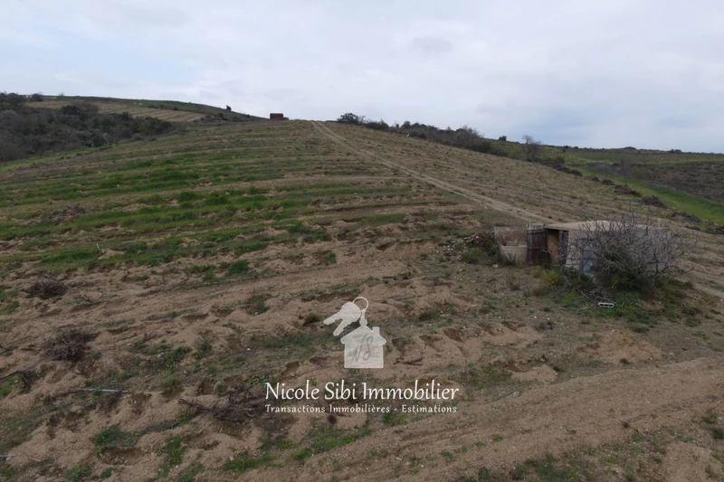 Vente terrain agricole Montner  
