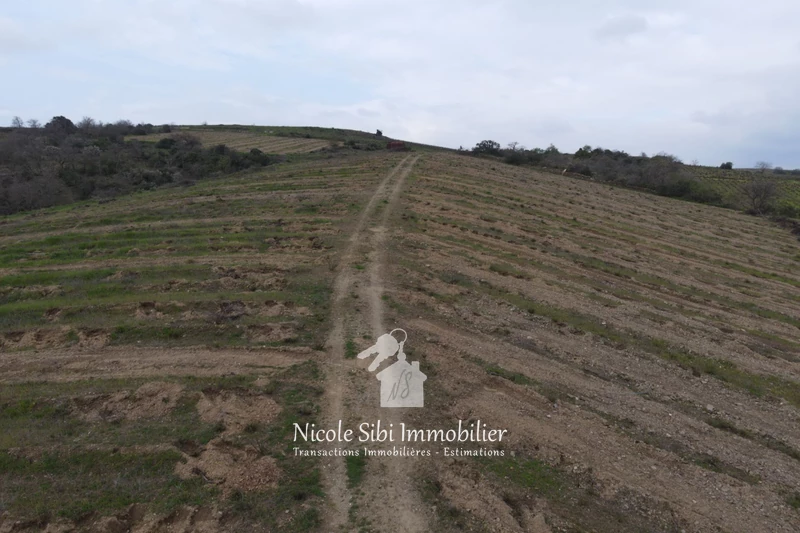 Vente terrain agricole Montner  