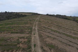 Vente terrain agricole Montner  
