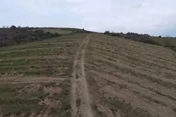 Vente terrain agricole Montner  