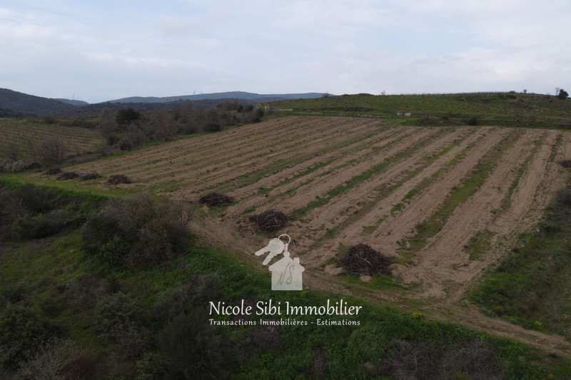 Vente terrain agricole Montner  