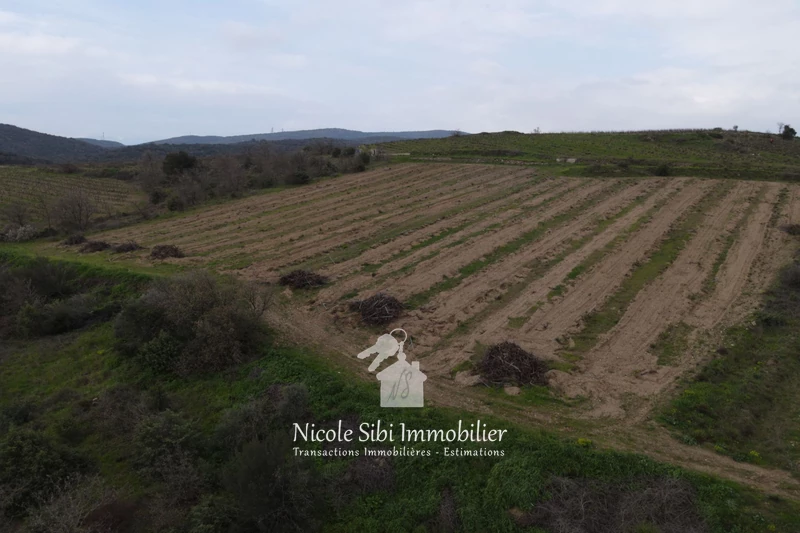Vente terrain agricole Montner  