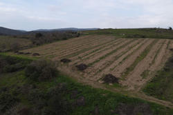 Vente terrain agricole Montner  