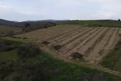 Vente terrain agricole Montner  