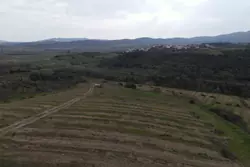 Vente terrain agricole Montner  