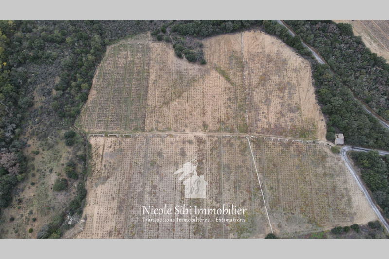 Vente terrain agricole Lansac  