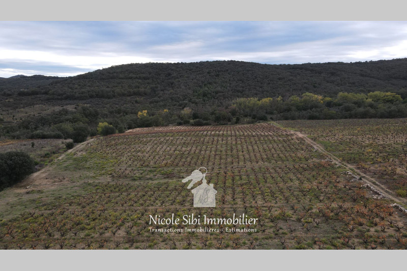 Vente terrain agricole Lansac  