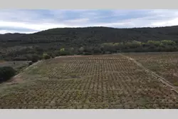Vente terrain agricole Lansac  
