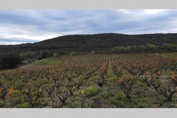 Vente terrain agricole Lansac  