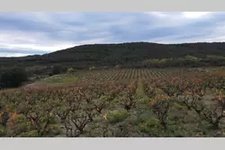 Vente terrain agricole Lansac  