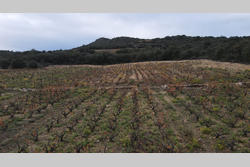 Vente terrain agricole Lansac  
