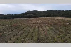 Vente terrain agricole Lansac  
