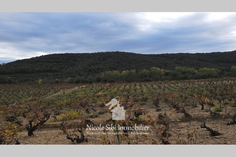 Vente terrain agricole Lansac  