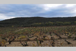 Vente terrain agricole Lansac  