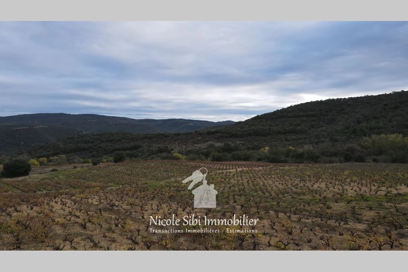 Vente terrain agricole Lansac  