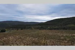 Vente terrain agricole Lansac  