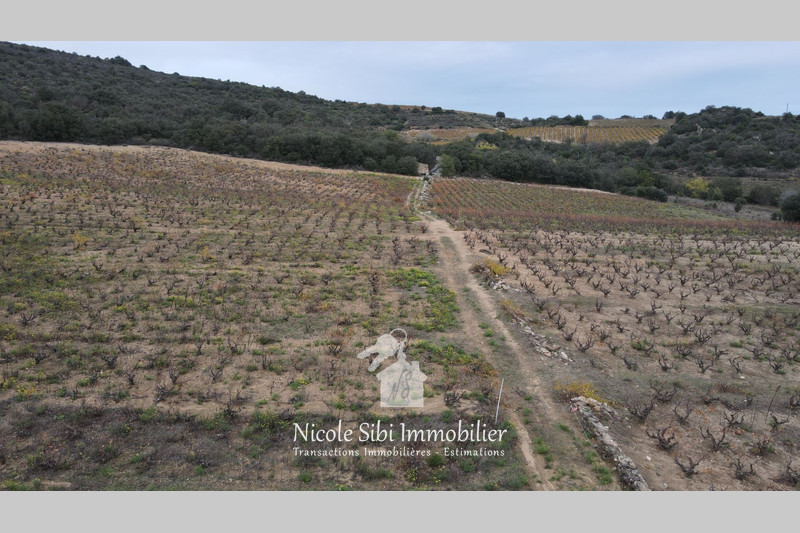 Vente terrain agricole Lansac  