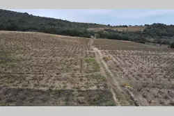 Vente terrain agricole Lansac  