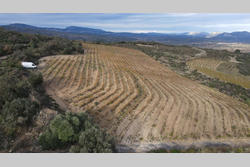 Vente terrain agricole Cassagnes  