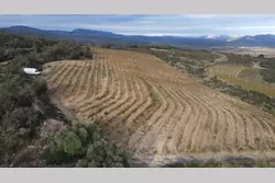Vente terrain agricole Cassagnes  