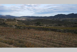 Vente terrain agricole Cassagnes  