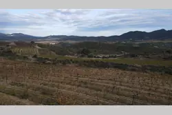 Vente terrain agricole Cassagnes  