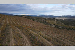 Vente terrain agricole Cassagnes  