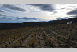 Vente terrain agricole Cassagnes  