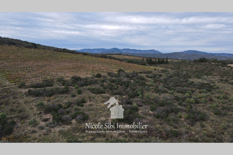 Vente terrain agricole Cassagnes  