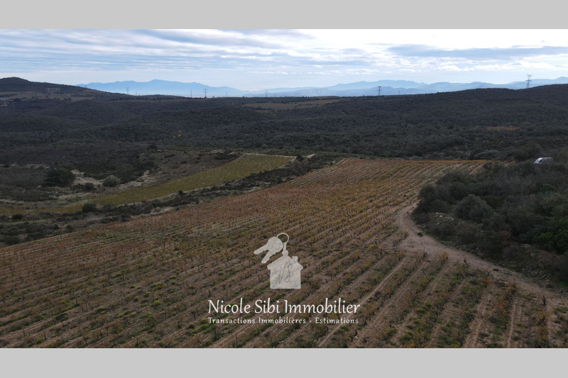 Vente terrain agricole Cassagnes  