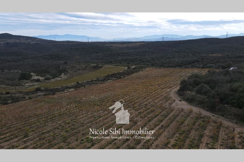 Vente terrain agricole Cassagnes  