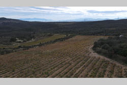 Vente terrain agricole Cassagnes  