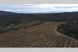 Vente terrain agricole Cassagnes  