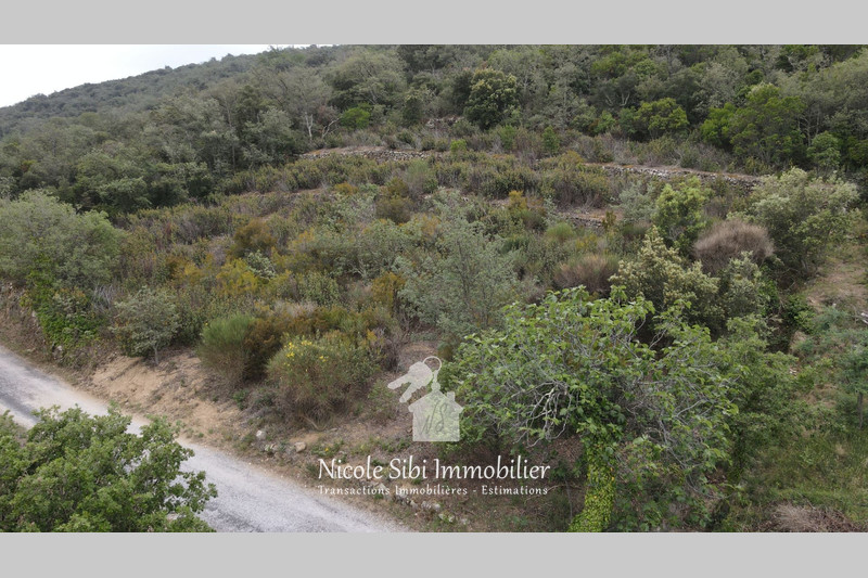 Vente terrain agricole Lansac  